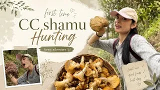 Thumbnail: First time I went to collect Si Si Shamus🍄 | Mushroom Hunt in Bhutan 🇧🇹 