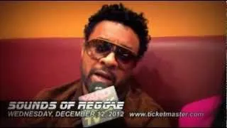 Thumbnail: BioLife/Jammins Ent - SOUNDS OF REGGAE - Barclays Center - Shaggy