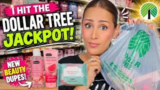 Thumbnail: 😱 I Hit the DOLLAR TREE JACKPOT! You HAVE to See These Finds!
