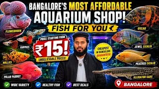 Thumbnail: Bangalore’s Most Affordable Aquarium Shop 😱 Fish Starting From ₹15 | Fish For You Bangalore