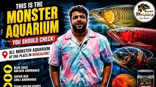Thumbnail: I Found Bangalore’s BEST Monster Fish Aquarium! 😱 Rare Arowanas, Oscars & More