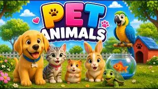 Thumbnail: Pet Animals for Kids | Dog, Cat, Hamster, Rabbit, Parrot & Turtle | Fun Learning for Toddlers