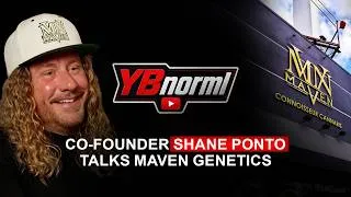 Thumbnail: Shane Ponto, Co-Founder of Maven Genetics Talks About Building a Cannabis Empire