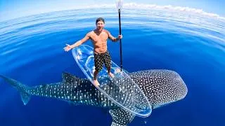 Thumbnail: Exploring For Sea Creatures On My Transparent Kayak