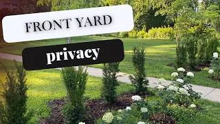 Thumbnail: 🌱 How I'm Creating Privacy in My Front Garden 🌱