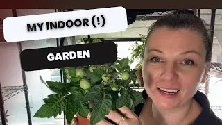 Thumbnail: 🌱 Replanting Stepables and Lisianthus and Indoor Garden setup 🍃