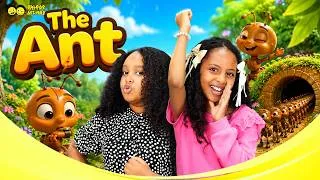 Thumbnail: The Ant 🐜 | Fun Kids Song | Nursery Rhymes for Kids | Baby Songs Sing, dance, “The Ant”,  🐜🎵