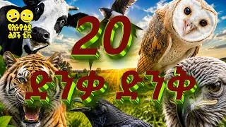 Thumbnail: 20 ድንቃ ድንቅ _ Ye Ethiopia Lijoch TV | አስገራሚ እውነታዎች |  Amazing Facts/Dinka dink