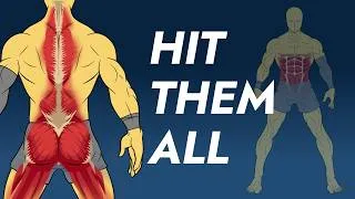 Thumbnail: How to train every muscle (properly)
