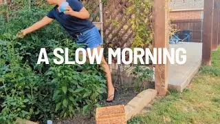 Thumbnail: CALM MORNING. Peaceful Routine | SLOW LIVING & MINIMALISM