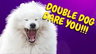 Thumbnail: Unlocking the Secrets Of Proven Training Techniques for Challenging Dogs
