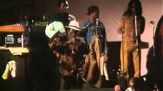 Thumbnail: Reggae Salute 2007