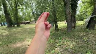Thumbnail: Best hidden place at Alte Donau in Vienna 