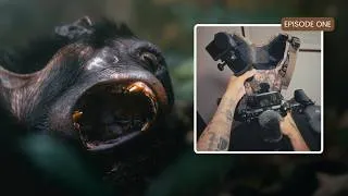 Thumbnail: The 5-Camera Rig I Built for Filming Primates