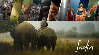 Thumbnail: every photo i took in india