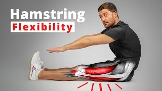 Thumbnail: The Science of Hamstring Flexibility – Anatomy & Training Techniques