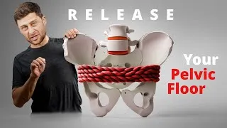 Thumbnail: Release Your Pelvic Floor – Exercises for Tight Muscles