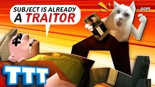 Thumbnail: A massive Traitor fumble in Gmod TTT