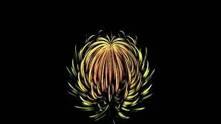 Thumbnail: #512 simulated flower  b