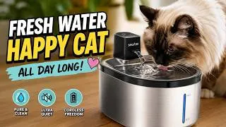 Thumbnail: Ultimate Cat Hydration Station #Pet #WaterFountain #Smartoo