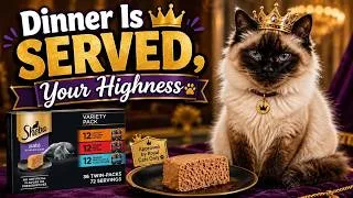 Thumbnail: Feed Your Cat Right! #PetCare #CatFood