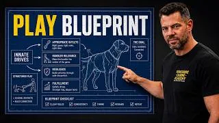 Thumbnail: The REAL Reason Your Reactive Dog Won't Calm Down (Play Mistake)