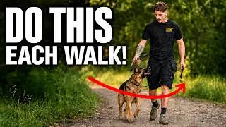 Thumbnail: I Wish Someone Told Me THIS When I Had a Reactive German Shepherd