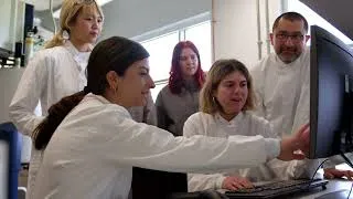 Thumbnail: About Cognitive Science at York