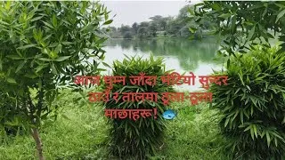 Thumbnail: घुम्न जाँदा भेटियो विभिन्न किसिमका फलफूल र फूलका बिरुवाहरू | Nature Vlog @youaremydream24 #viral 