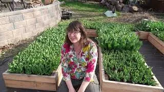 Thumbnail: This is My New Flower Farm!!!