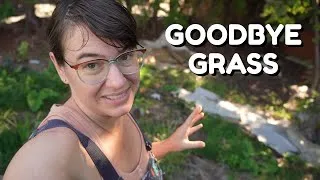 Thumbnail: This Shade Garden Needs Mulch!