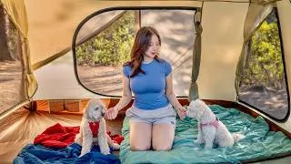 Thumbnail: My First Camping Trip with Two Dogs in Nature | How to Relieive Pain While Camping