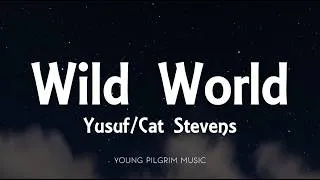 Thumbnail: Yusuf / Cat Stevens - Wild World (Lyrics)