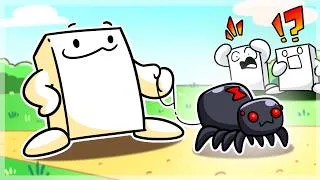 Thumbnail: I Actually Keep Black Widows as Pets