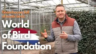 Thumbnail: Greenhouses full of Parrots - World of Birds Foundation in The Netherlands - Budgerigars & More