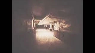 Thumbnail: Runaway - Del Shannon (Slowed + Reverb)