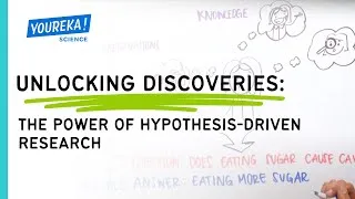 Thumbnail: Unlocking Discoveries: The Power of Hypothesis-Driven Research