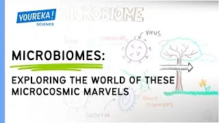 Thumbnail: Microbiomes: Exploring the World of These Microcosmic Marvels