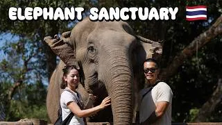 Thumbnail: BEST ELEPHANT SANCTUARY IN THAILAND 🇹🇭| Elephant Nature Park | Care for Elephants