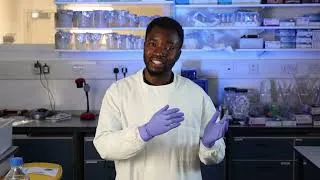 Thumbnail: Gel Electrophoresis Explained in 2 minutes ⚡🧬 (Virtual Lab)