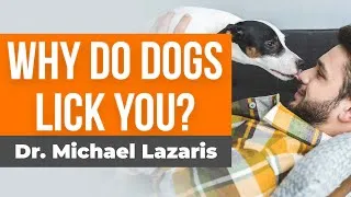 Thumbnail: What It Means When Dogs Lick You