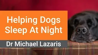 Thumbnail: How To Help Your Dog Sleep At Night - Simple Vet Tips