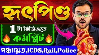 Thumbnail: 😱মানুষের হৃৎপিণ্ড এক ক্লাসেই শেষ | Human Heart | General Science For Panchayet,ICDS,Police,Rail 2026