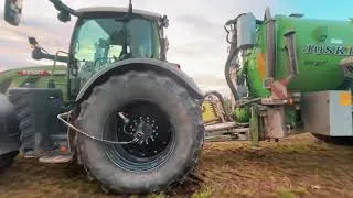 Thumbnail: Morden Farming in The Netherlands #DutchFarming #NetherlandsAgriculture #ModernFarming  #Shorts