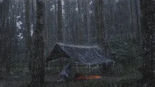 Thumbnail: 4 Days Camping in HEAVY RAIN ‼️ ASMR