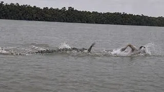 Thumbnail: They Tried to Swim Across The World's Most Croc-Infested River