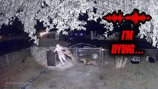Thumbnail: The Tragic Last Minutes of Jodi Cowan (W/ Footage & Unreleased 911 Audio)