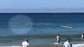 Thumbnail: Great White Attack at Coogee Beach Leaves Sydney Teacher in Critical Condition