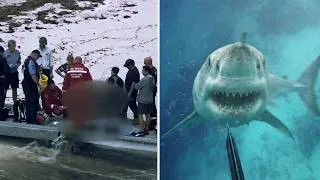 Thumbnail: Shark Attack Terror in Australia Sees 3 Maulings in Just 3 Weeks