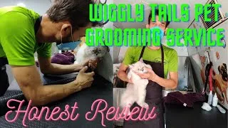 Thumbnail: Mobile Pet Grooming Service | WIGGLY TAILS | Honest Review
